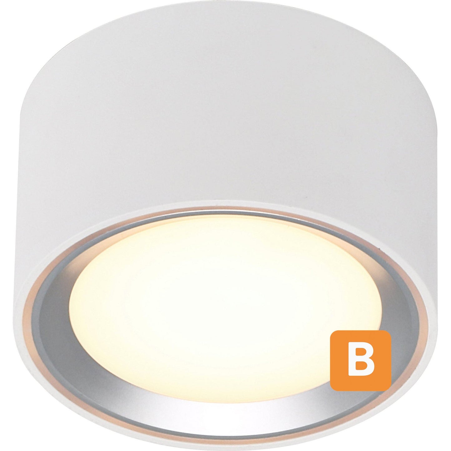 LED Deckenspot Fallon Nordlux