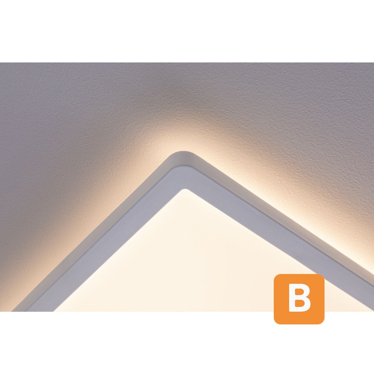 LED Panel "Atria Shine" - PAULMANN Paulmann