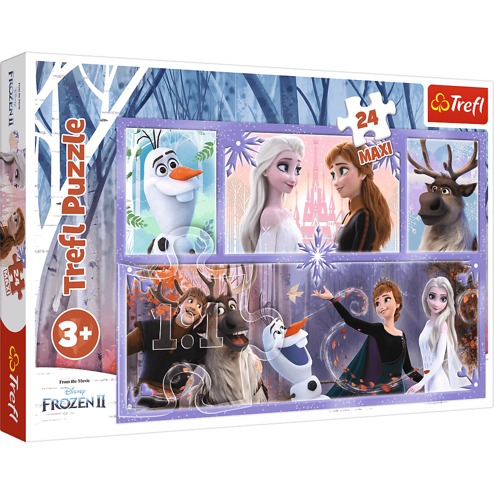 Frozen World of Magic - Maxi Puzzle 24 pieces