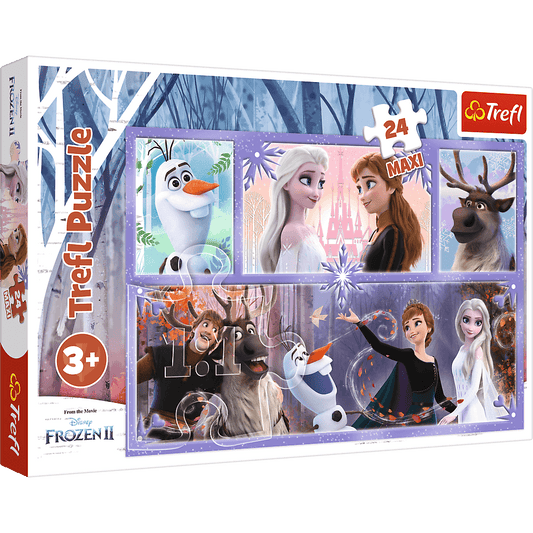 Frozen World of Magic - Maxi Puzzle 24 pieces