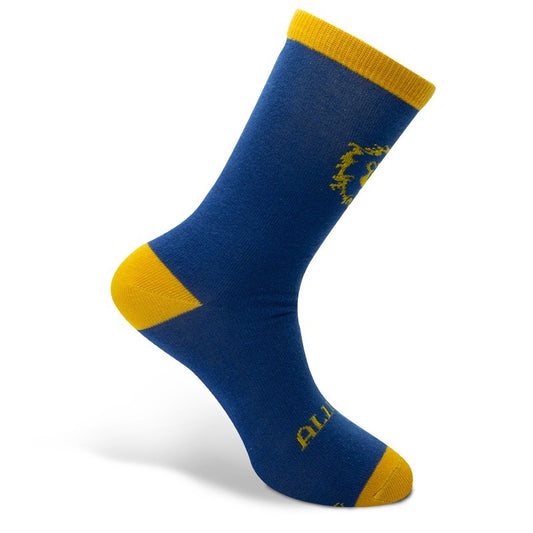 WORLD OF WARCRAFT - Calcetines "Alianza"