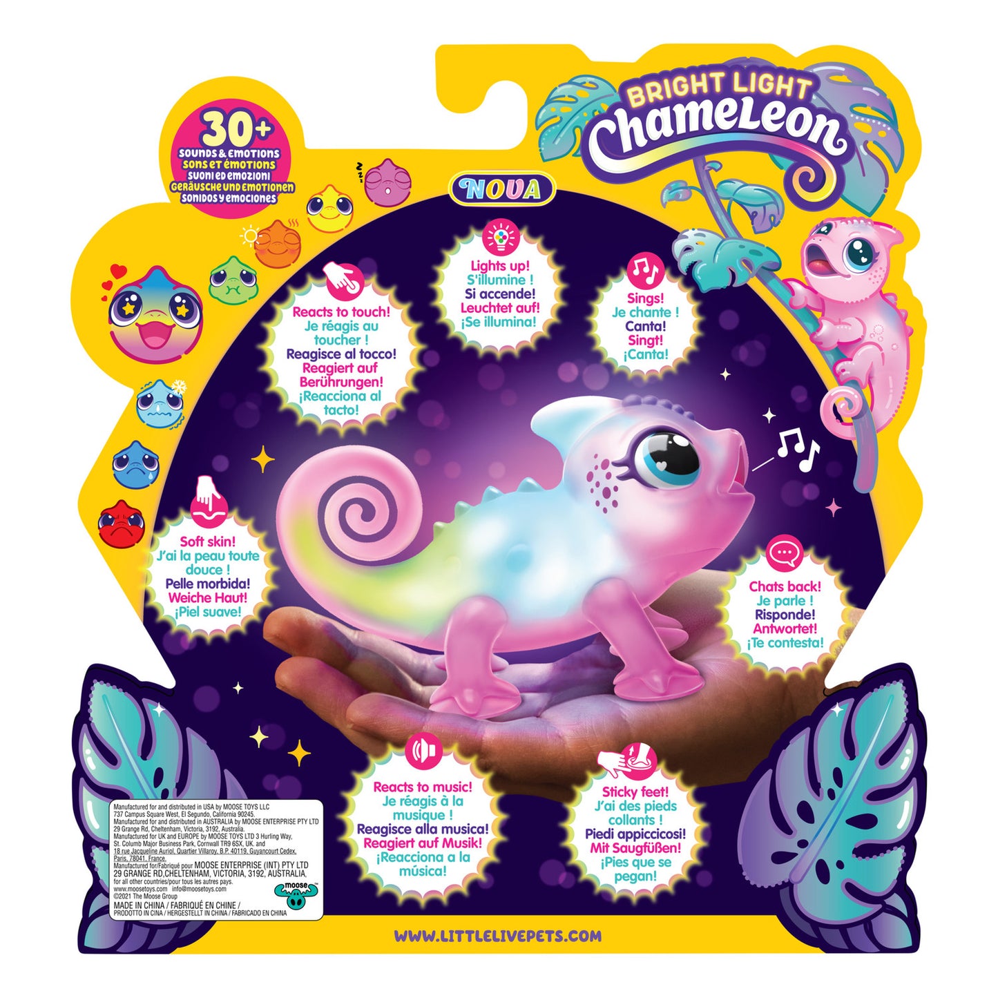 Pequeñas mascotas vivas: Camaleón brillante Nova