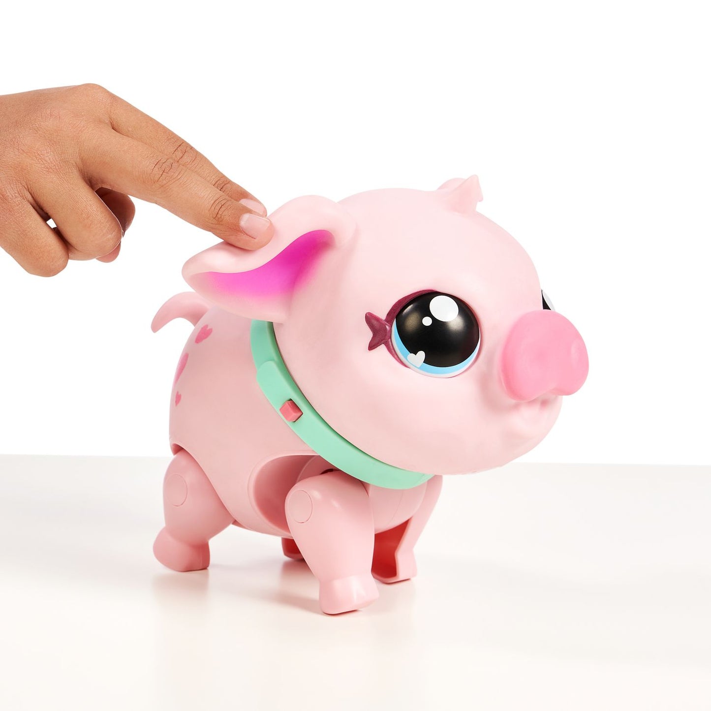 Little Live Pets – My Pet Pig Piggly