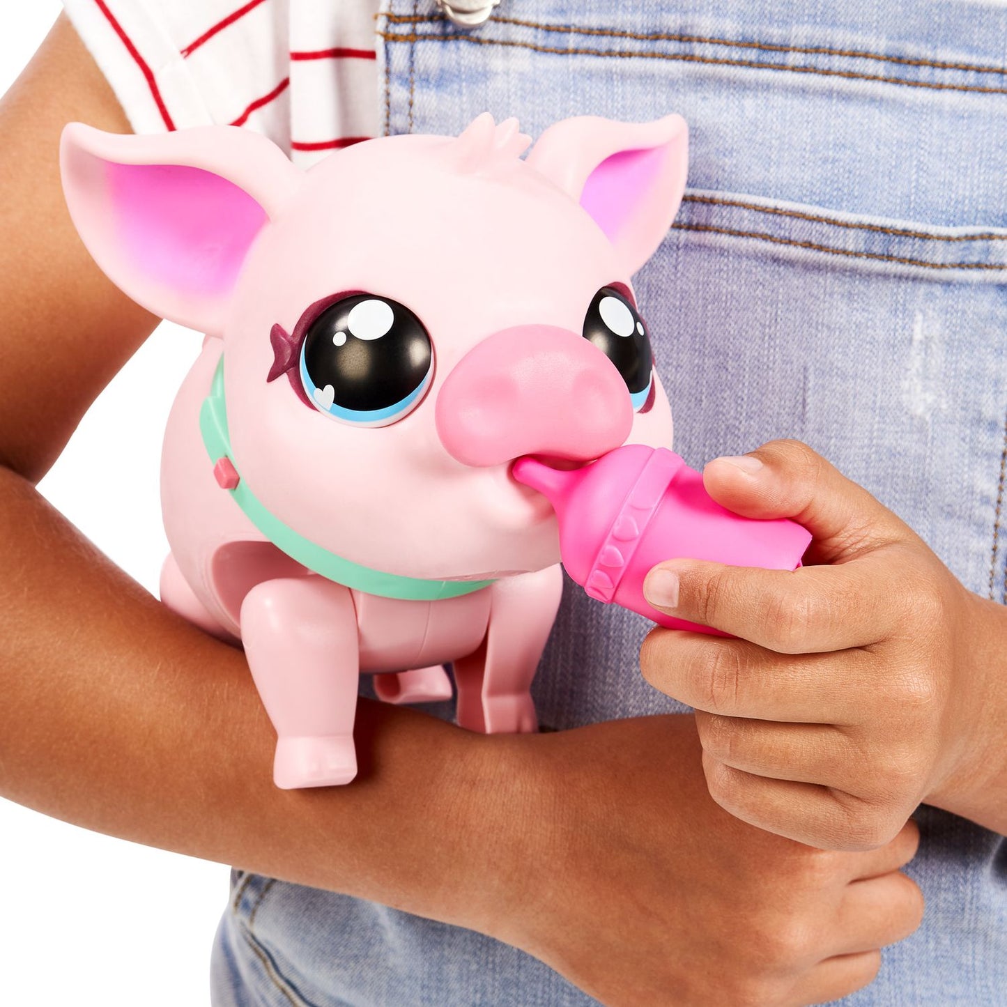 Little Live Pets – My Pet Pig Piggly