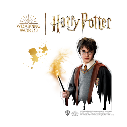 SES - Harry Potter - Steine bemalen
